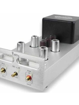 YAQIN MS-12B Tube Phono Stage Pre-AMP MM RIAA Turntable